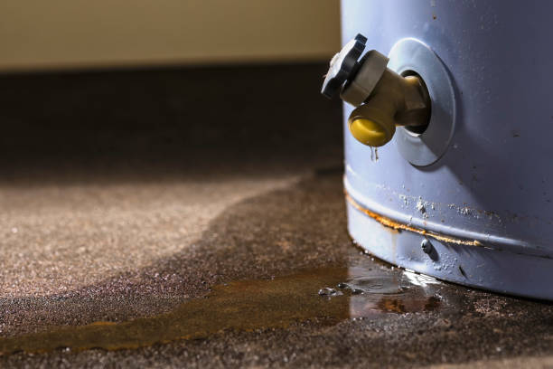 Water damage restoration mold remediation in Lake Shore, UT