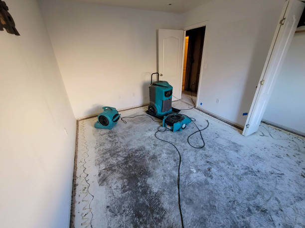 Best Water damage restoration process  in Lake Shore, UT