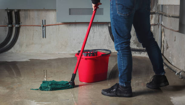 Best Water damage contractors near me  in Lake Shore, UT