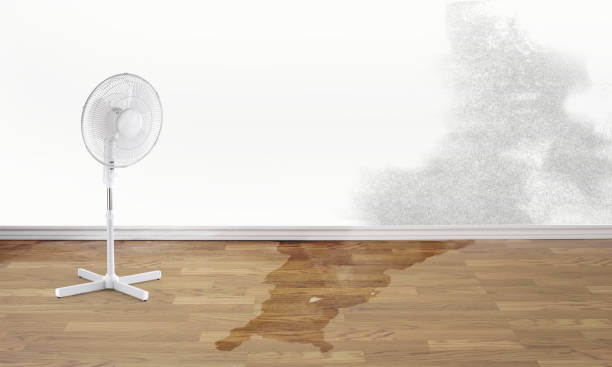 Carpet water damage restoration in Lake Shore, UT