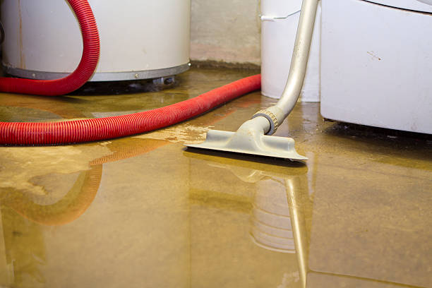 Best Water damage restoration mold remediation  in Lake Shore, UT