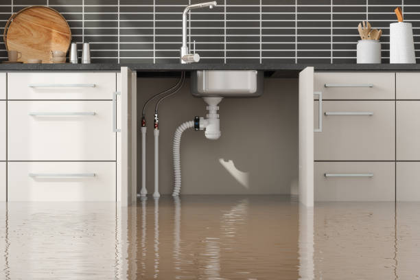 Best Basement water damage restoration  in Lake Shore, UT