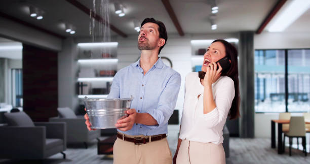 Best 24/7 water damage repair  in Lake Shore, UT
