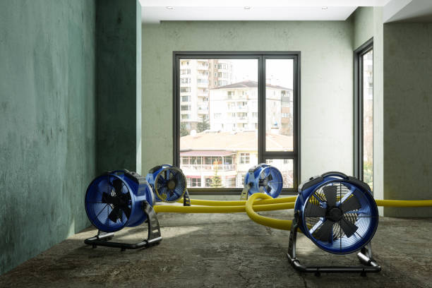 Best Ceiling water damage repair  in Lake Shore, UT