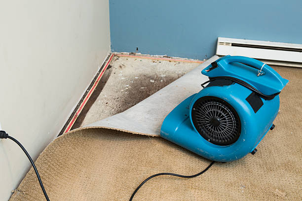 Best Carpet water damage restoration  in Lake Shore, UT